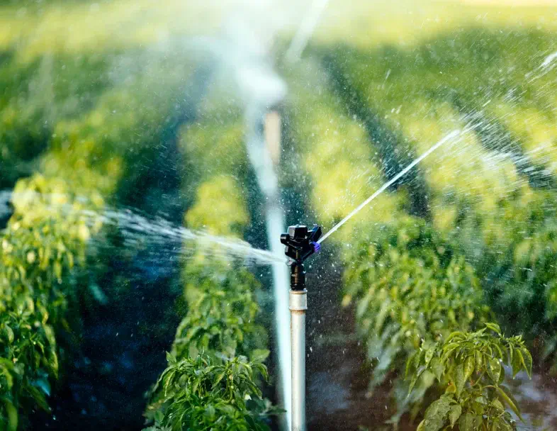 Irrigation